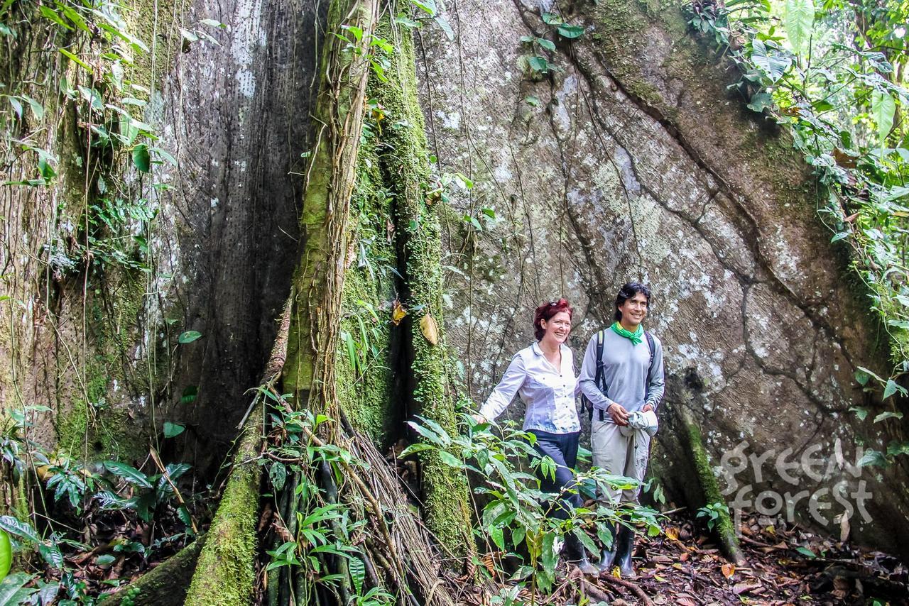 Green Forest Ecolodge Puerto Montufar Exteriér fotografie