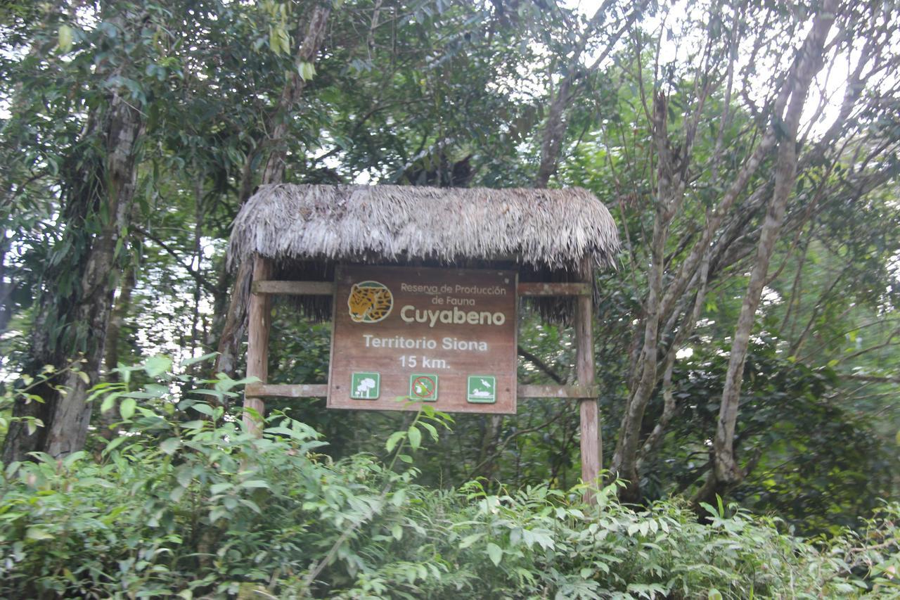 Green Forest Ecolodge Puerto Montufar Exteriér fotografie